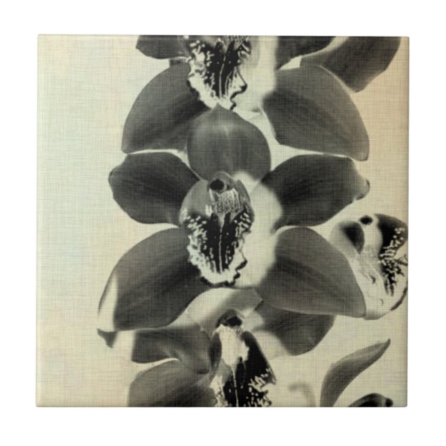 Orchid Blush Panels IV Tile (Front)