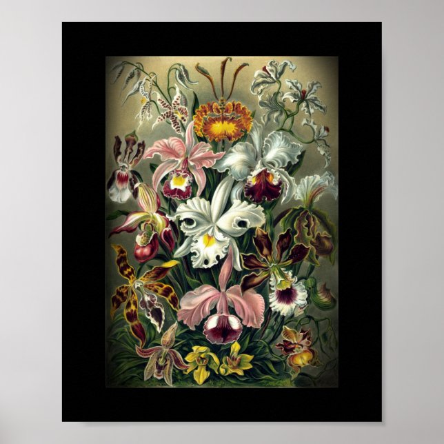 Orchid Botanical Print (Front)