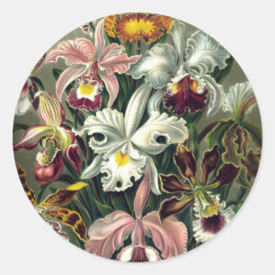 Orchid Botanical Print Classic Round Sticker