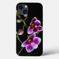 Orchid branch pink white colour on black pale
