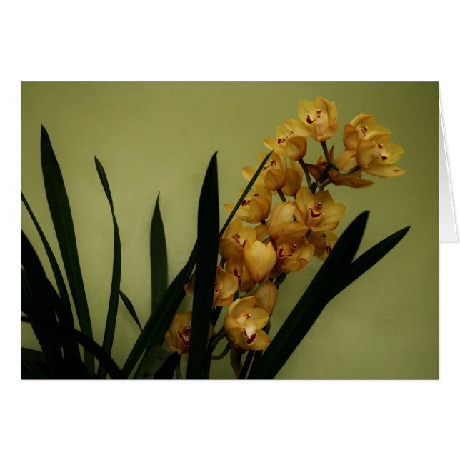 "orchid" by Larry Coressel (Front Horizontal)