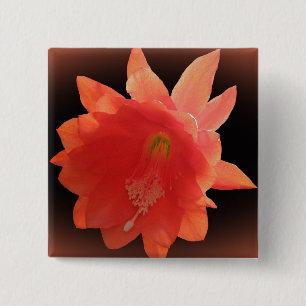 Orchid Cactus - Epiphyllum Ackermannii - Blossom 2 Inch Square Button