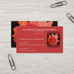 Orchid Cactus - Epiphyllum Ackermannii - Blossom Business Card