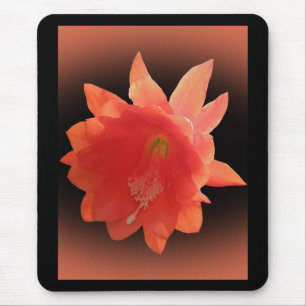 Orchid Cactus - Epiphyllum Ackermannii - Blossom Mouse Pad