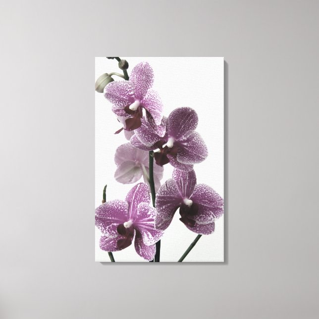 Orchid Canvas Print (Front)