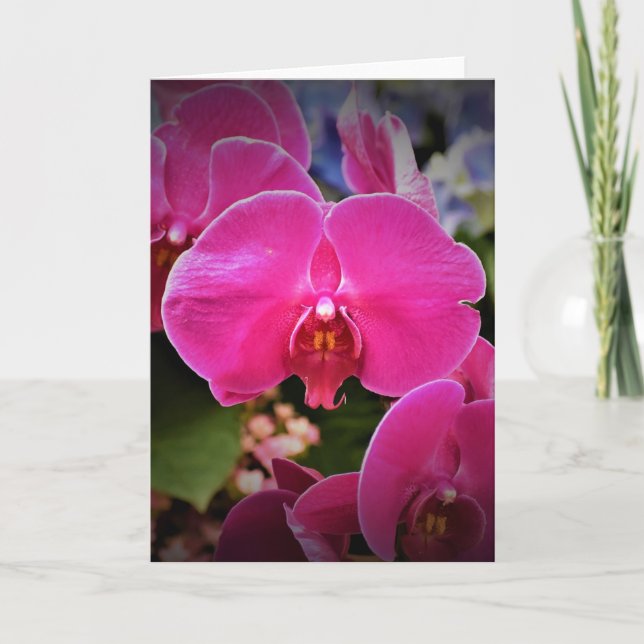 Orchid, card (Front)