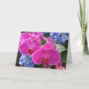 Orchid, card