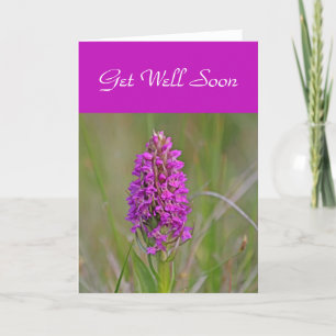 Orchid card