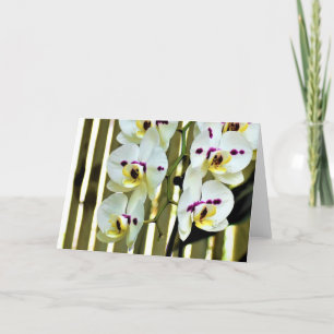 Orchid, card