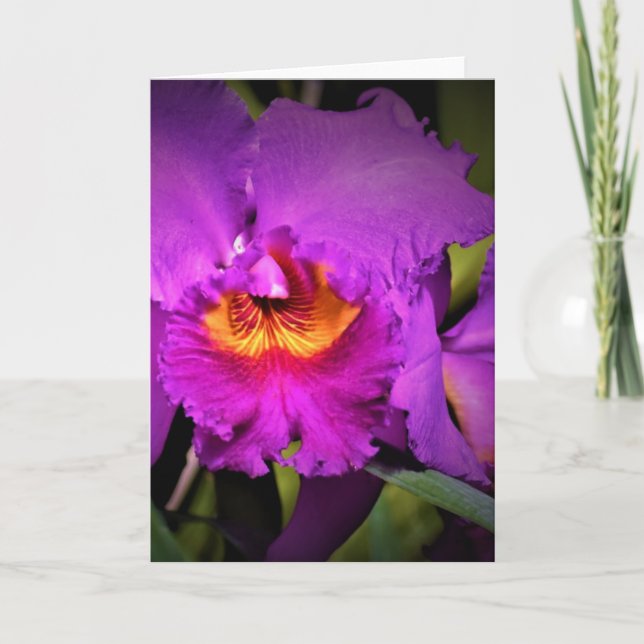 Orchid, card (Front)