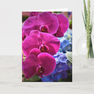 Orchid, card