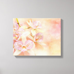 Orchid - Caulocattleya - The twinkle in my eye Canvas Print