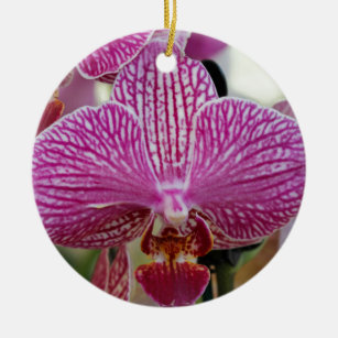 orchid ceramic ornament