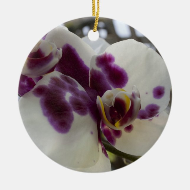 Orchid Christmas Ornament (Front)