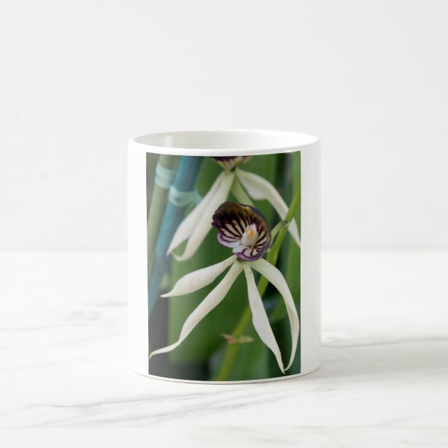 Orchid Coffee Mug (Center)