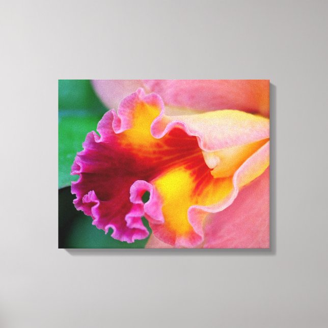 Orchid Colours Canvas Print (Front)