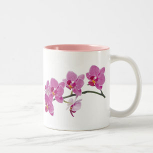 ORCHID CUP