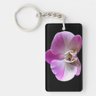 Orchid de Purple et White