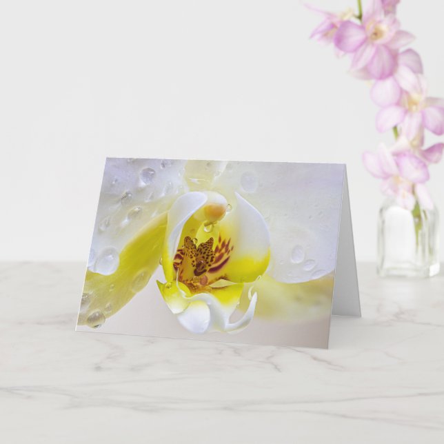 Orchid Dew Card (Orchid)