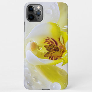 Orchid Dew iPhone 11Pro Max Case