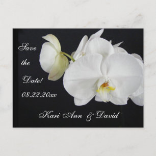 Orchid Dream Announcement Postcard