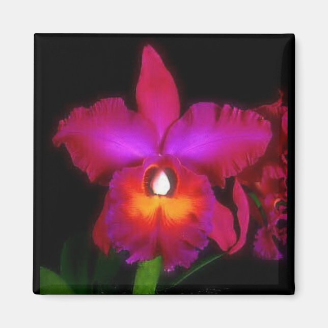 Orchid Dream Magnet (Front)