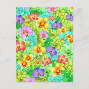 Orchid Flower and Succulent Plant Postcard