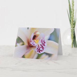 Orchid Flower Close Up Art Note Card