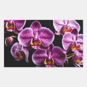 Orchid Flower Colourful Blossom Decoration Blossom Sticker