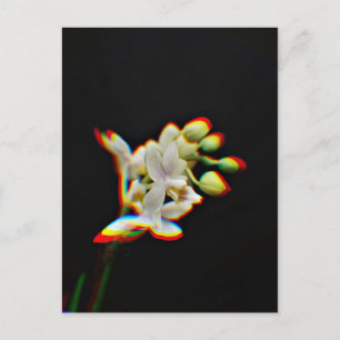 Orchid Flower Glow Effect Postcard