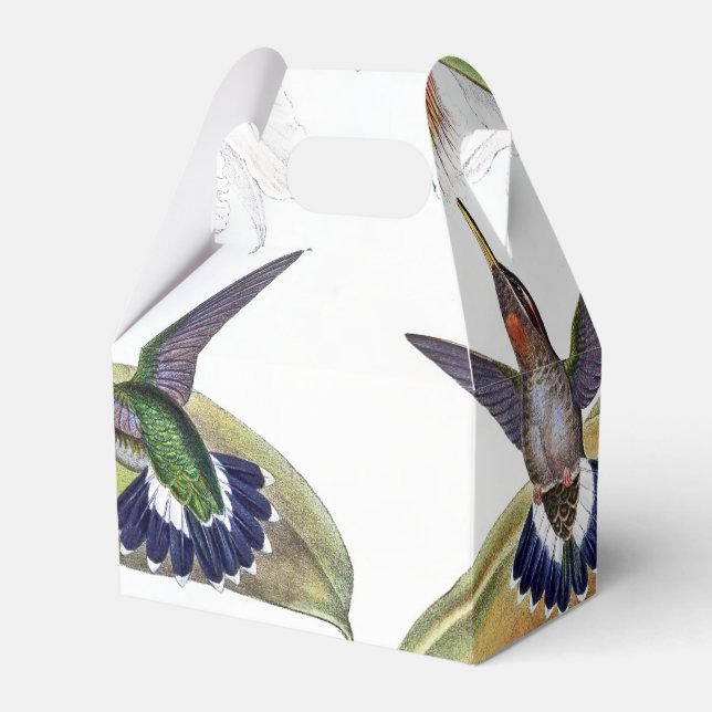 Orchid Flower Hummingbird Birds Wildlife Favour Bo Favor Box (Front Side)