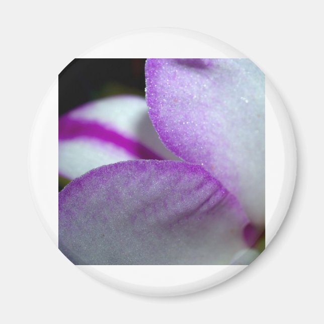 Orchid Flower Magnet (Front)