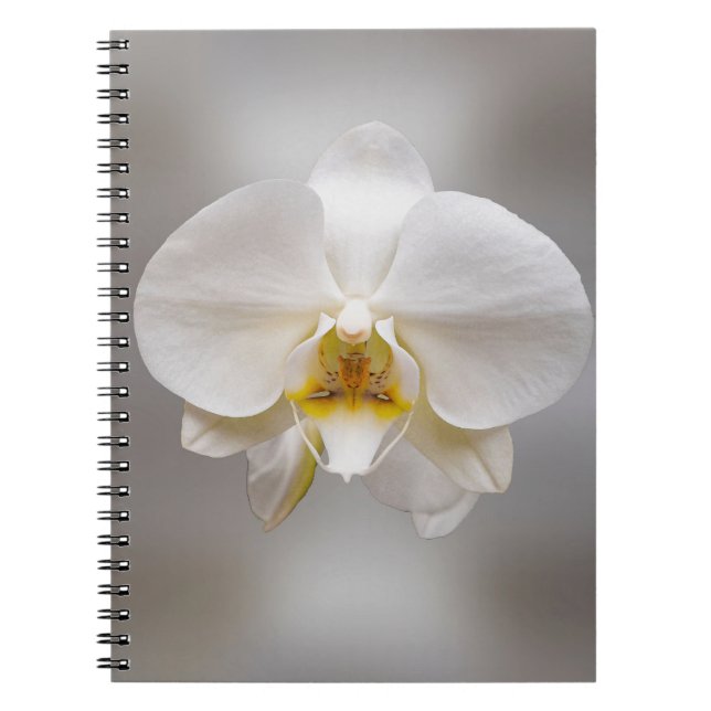 Orchid flower notebook (Front)