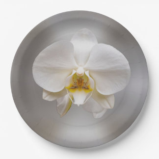 Orchid flower paper plate