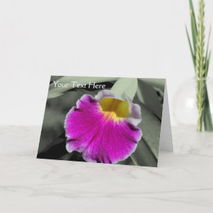 Orchid Flower Partial Colour Photo Card