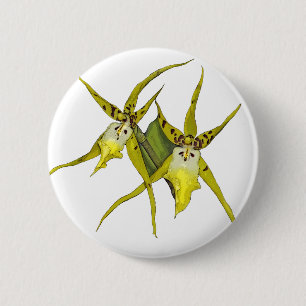 Orchid Flowers 2 Inch Round Button