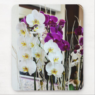 Orchid flowers mouse pad