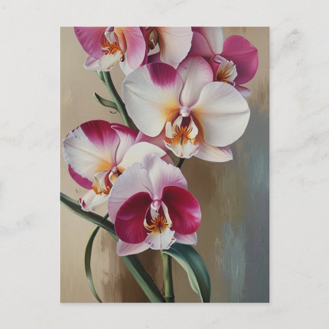 Orchid flowers postcard (Front)