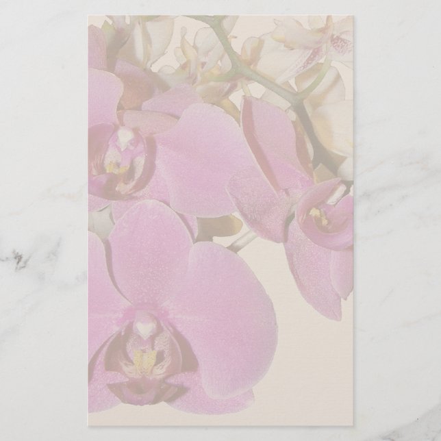 Orchid Flowers Stationery (Front)