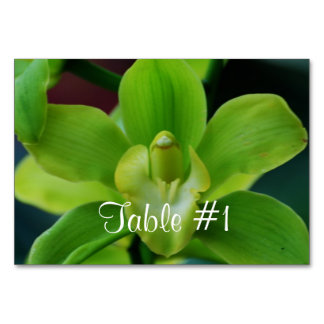 Orchid Flowers Table Number