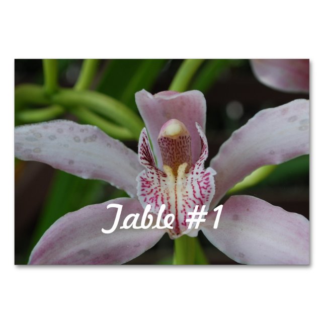 Orchid Flowers Table Number (Front)