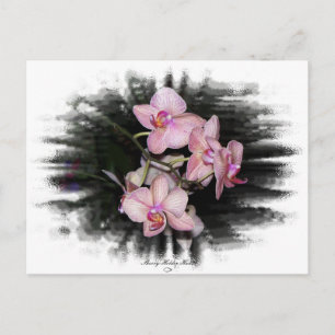 Orchid Frame 1 Postcard