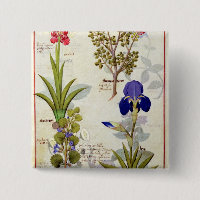 Orchid & Fumitory or Bleeding Heart Hedera & Iris