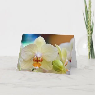 Orchid • Greeting Card