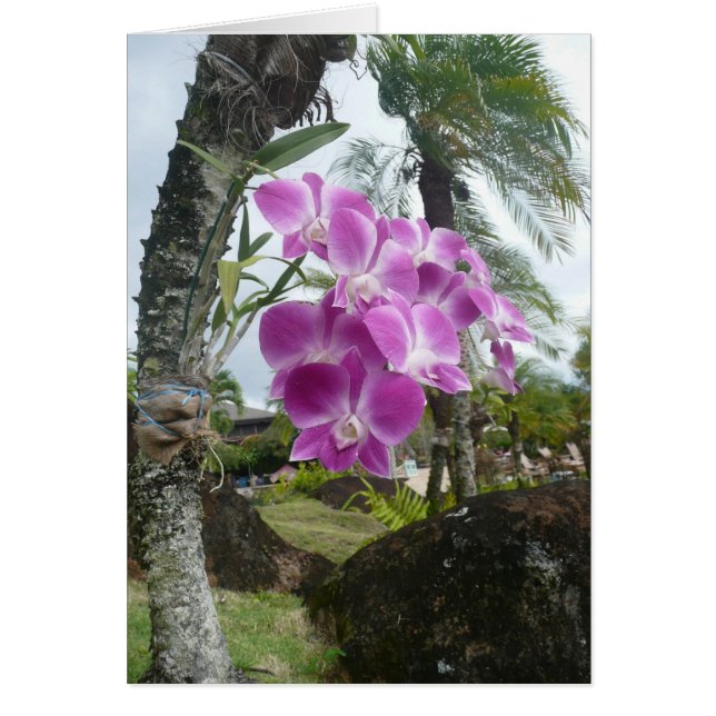 Orchid haning from tree - Blank Card (Front)