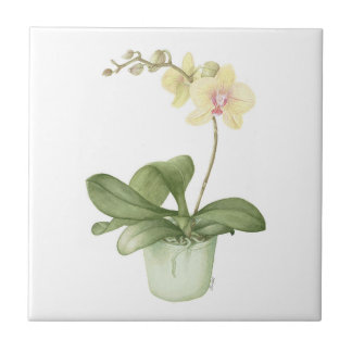 Orchid in a Green Pot Botanical Ceramic Tile