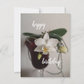 orchid in red glass birthday card 