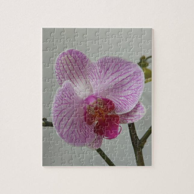 Orchid Jigsaw Puzzle (Vertical)