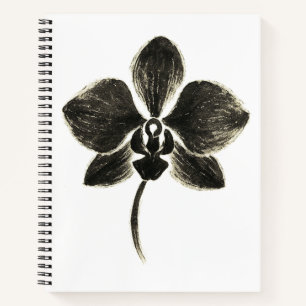 Orchid Line Drawing – Botanical Notebook