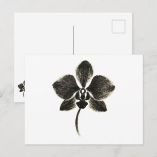 Orchid Line Drawing – Botanical Postcard